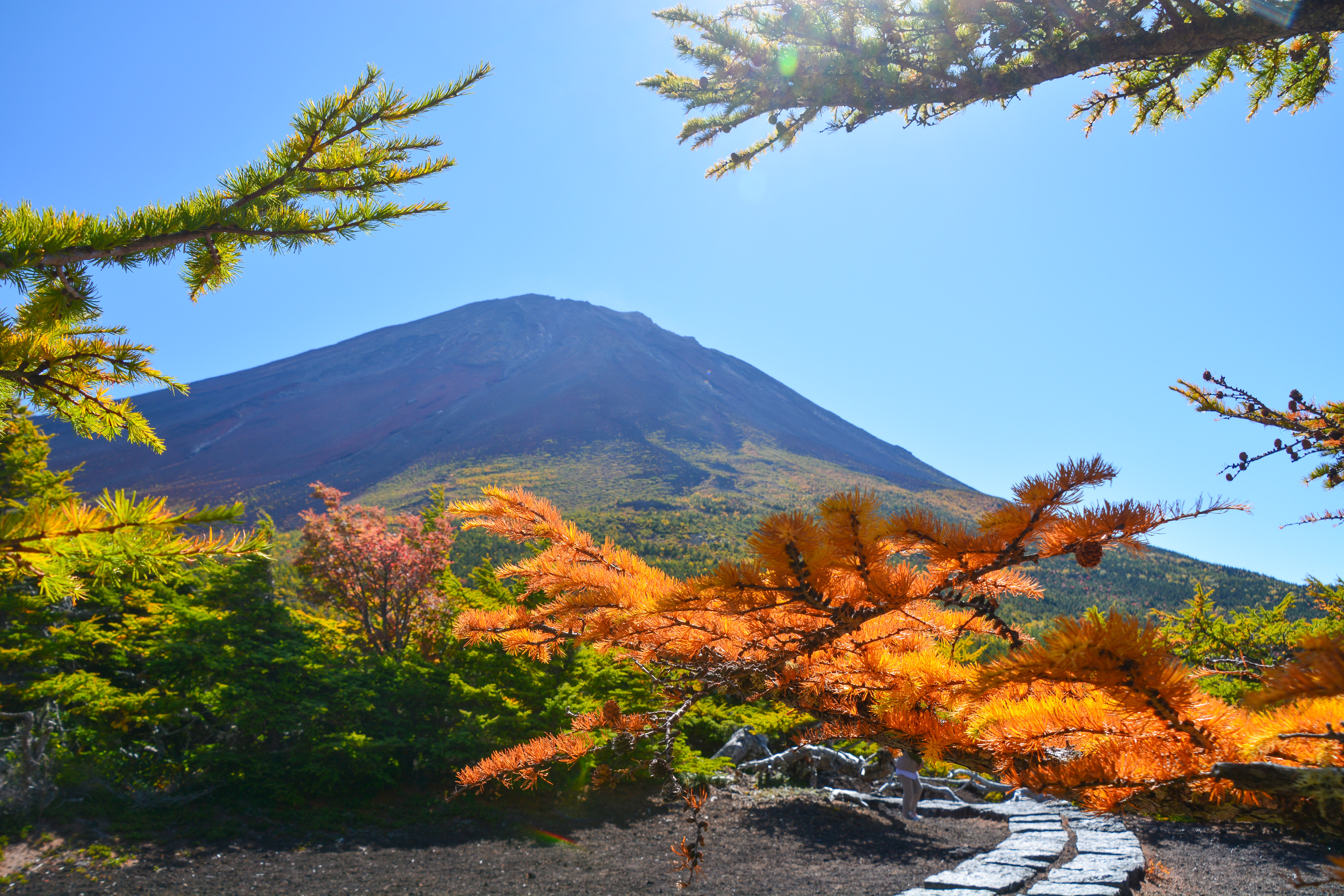 キーワードは富士山 紅葉 山梨県の人気紅葉狩りスポット３選 Cazual