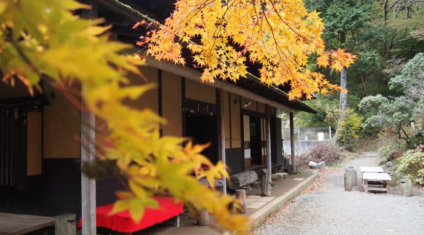 箱根 鎌倉は紅葉も最高 天狗寺ってどこ 神奈川の定番 穴場紅葉スポット Cazual