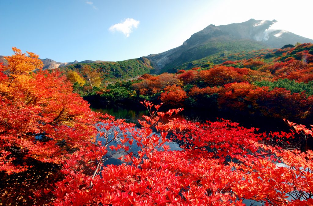 no.0419 湖面の翠と紅葉のサードニクス　一点物 雪の積もった紅葉が幻想的な美しさでした🍁 #そうだ京都行こう